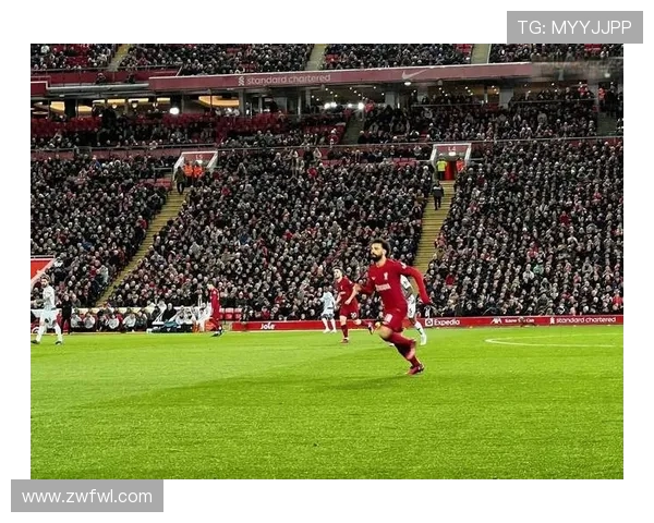 哈曼建议利物浦引进范德芬不确定他对热刺现状是否满意